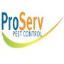Effective Termite Treatment in Singapore by Proserv Pest