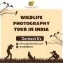 How to Combine Wildlife Photography with a Cultural Tour in 