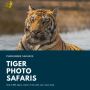 Tiger Photo Safaris: Capturing the Majesty of the Wild