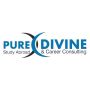 Pure Divine Consulting Pure Divine Consulting