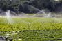  Revolutionize Your Farming: Water Sprinkler for Agriculture