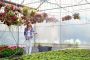 Reliable Greenhouse Drip Irrigation Water Systems for Effici