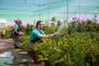 Efficient Small Greenhouse Watering System – Maximize Growth