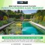 Ultrasonic Algae Control – Safe & Eco-Friendly