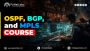 BGP+OSPF+MPLS Course By PyNet Labs 