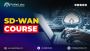 Elevate Your Career with SD-WAN Viptela Training 