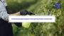 Maximize Farm Efficiency: Meghmani Global's Crop Protection 