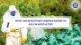 What are insecticides? their role in agriculture