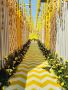 Central India’s Leading Tent Manufacturers in Indore.