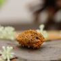  2 Mukhi Rudraksha 