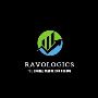 https://ravologics.com/services/digital-marketing/