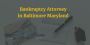 Reliable Legal Expertise from Baltimore Bankruptcy Attorney