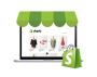 Boost Your E-commerce Business With Professional Shopify Dev