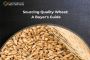 Trusted Wheat Wholesalers for Premium Quality Grains