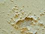 Need help to treat walls rising damp on your on your Home?