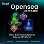 Top-Rated OpenSea Clone Script – Understandable Code, Fast L