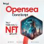 OpenSea Clone Script Development for Startups & Entrepreneur