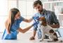 Essential Veterinary Products: A Complete Guide to Keeping Y