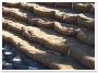 Coconut Fiber Erosion Control Blanket