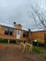 R Rodriguez Roofing