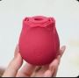 Rose toy life