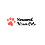Pet Daycare in Cheshire