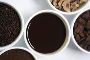 Rover Chicory Roasters: Chicory Manufacturer in India