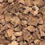Buy Dried Chicory Cubes from Leading Manufacturer in India
