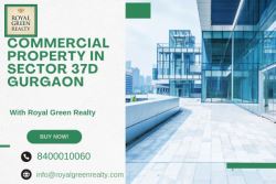 Commercial Property in Sector 37D Gurgaon