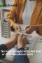 Fuel Your Business Growth with Working Capital Loans for Sma
