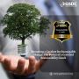 Becoming a Catalyst for Sustainable Change: The Power of a C