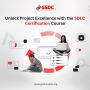 Unlock Project Excellence with the SDLC Certification Course