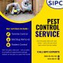 "Reliable and Affordable Pest Control Services in Bangalore 