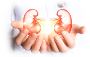Renal Sciences at SPS Hospitals
