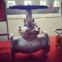 Globe Valve Manufacturer in USA