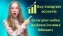 Buy Instagram PVA accounts 