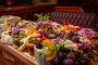 Set Sail for Adventure: Themed Dinner Cruises on San Diego B