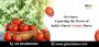 No.1 Quality and Premium Tomato Puree Exporter from India