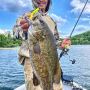 Plastic Worms For Fishing to easy catching fishes
