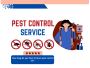Pest-Free Living Starts with Pest Control St Kilda