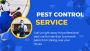 Banish Pests with St Kilda’s Leading Pest Control Experts