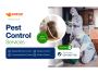 Say Goodbye to Pests with Epping’s Top Experts