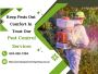 Geelong's Trusted Solution: Pest-Free Living Starts Here