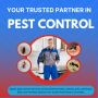 Mernda’s Trusted Pest Experts Safe, Fast, Reliable Call Now