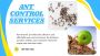 Stop the Ant Invasion! Professional Pest Control Tarneit