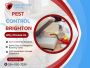 Pest Control Brighton – Safe & Affordable Solutions
