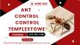 Say Goodbye to Ants with Templestowe’s Trusted Pest Experts