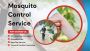 Mosquito Protection with Pest Control Fairfield Experts