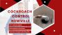 Safe & Fast Cockroach Control in Rowville – Call Now
