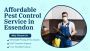 Say Goodbye to Pests – Essendon Experts at Your Service